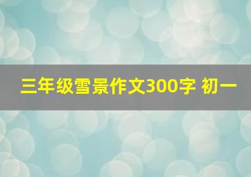 三年级雪景作文300字 初一